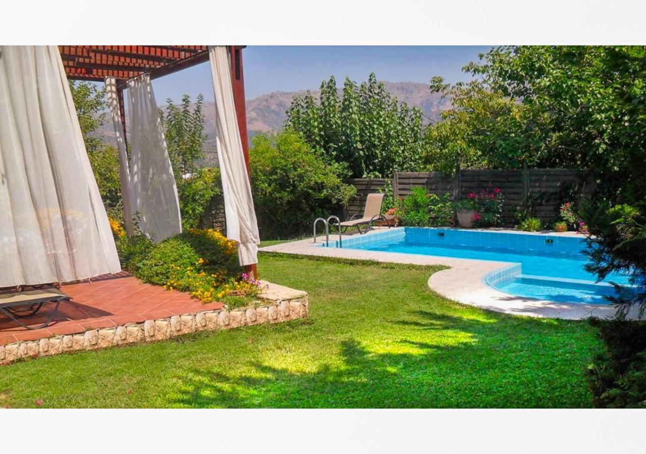 Villa Skine With Private Pool And Garden 干尼亞 外观 照片