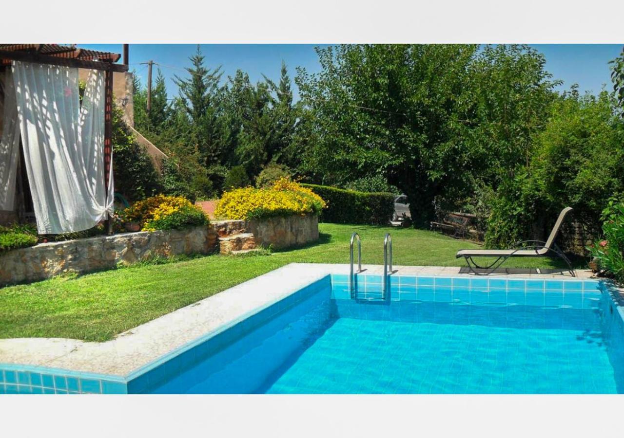 Villa Skine With Private Pool And Garden 干尼亞 外观 照片